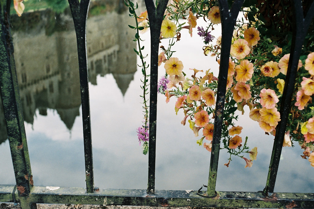 Reflet aux fleurs