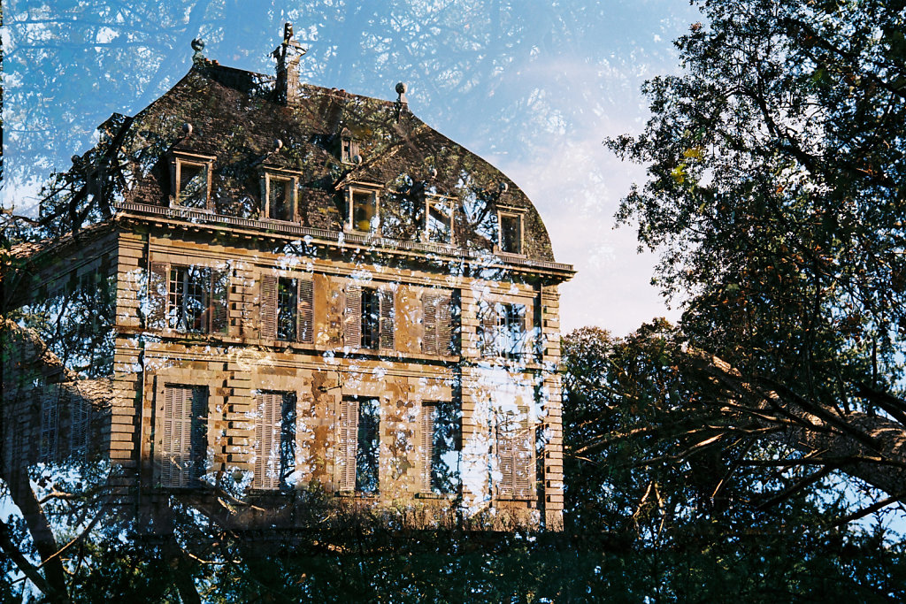 A travers les feuillages I