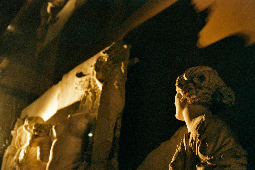 Tournée vers la lumière