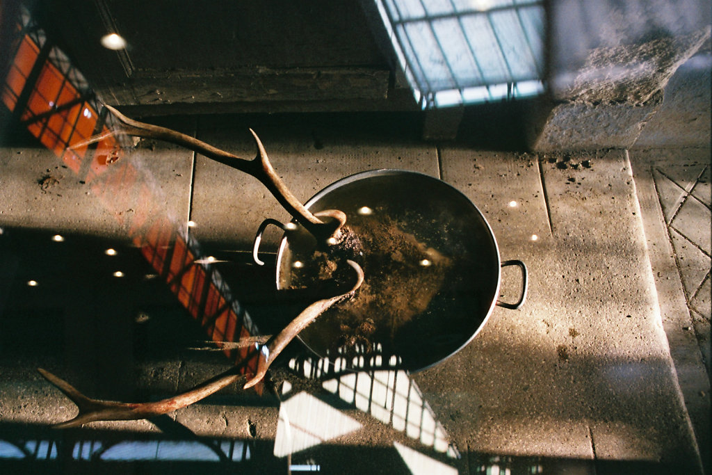 Le bouillon de tête de cerf