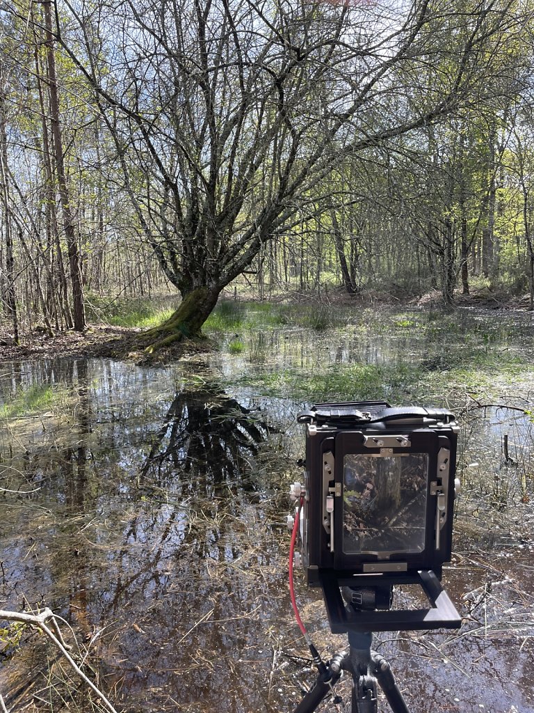 Projet I - Prise de vue
